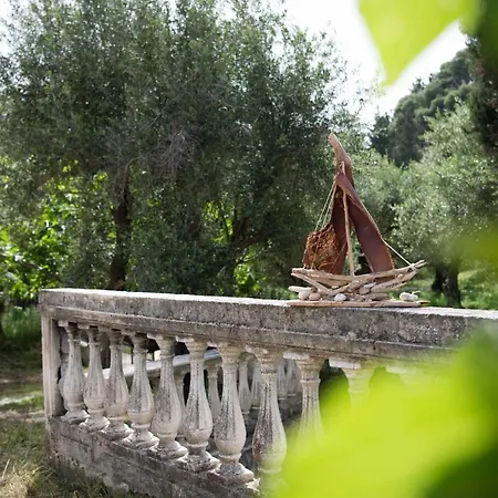 Daire Casa Angelina