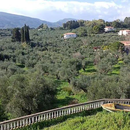 Daire Casa Angelina *